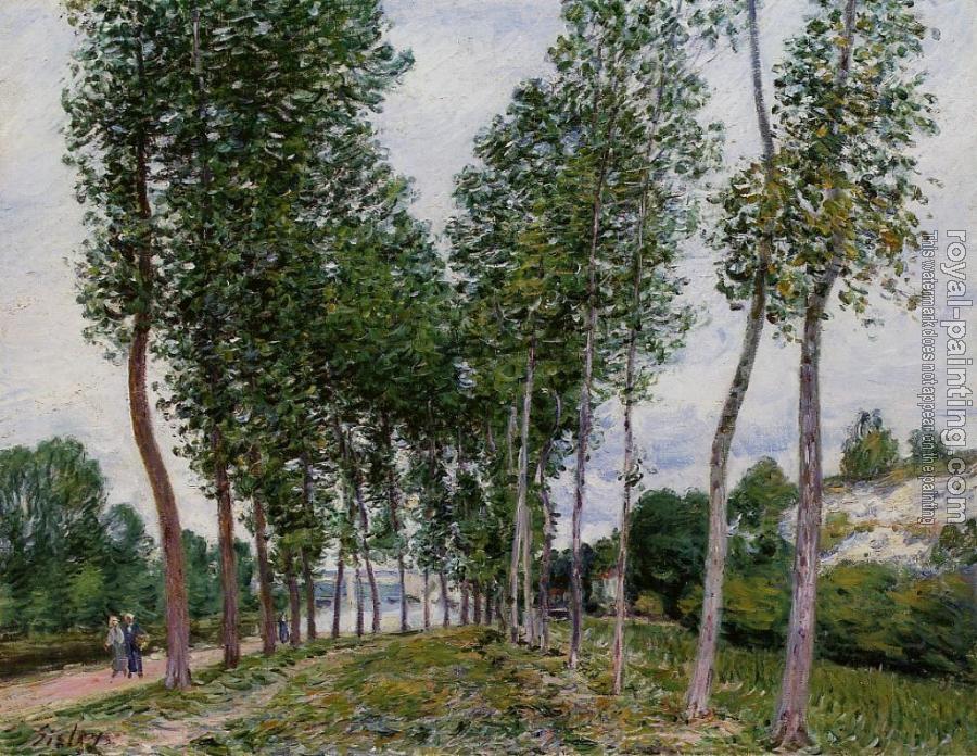 Alfred Sisley : Lane of Poplars on the Banks of the Loing